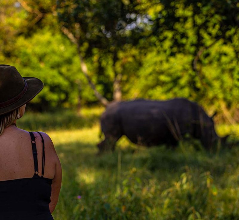 1-day-ziwa-rhino-sanctuary