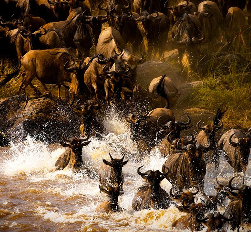8 days Family Beach and African Safari