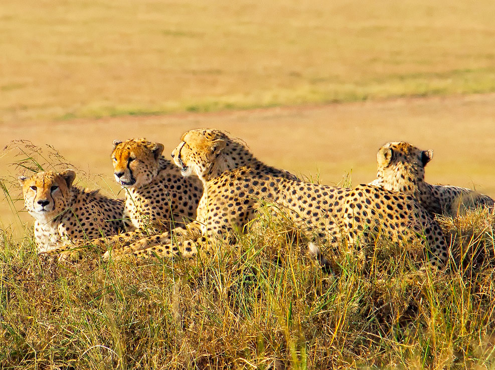 12-days-kenya-adventure-safari