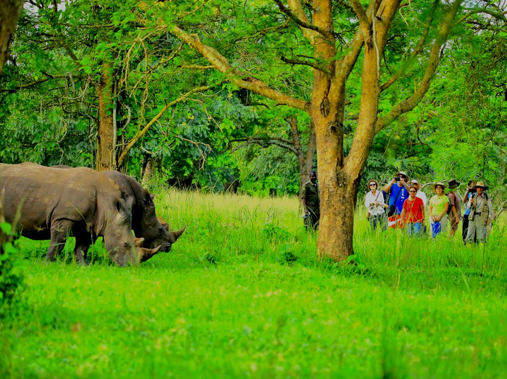 3-days-luxury-big-5-uganda-wildlife-safari