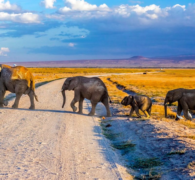 3-days-safari-to-amboseli-national-park-kenya-tour