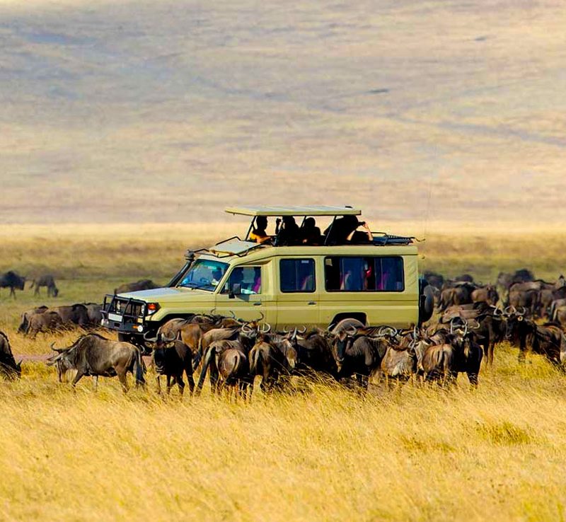 tanzania-safari-tours