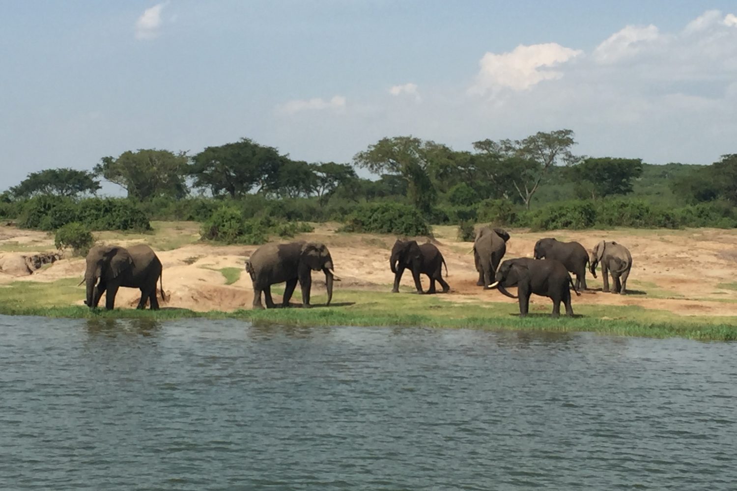 Murchison Falls National Park