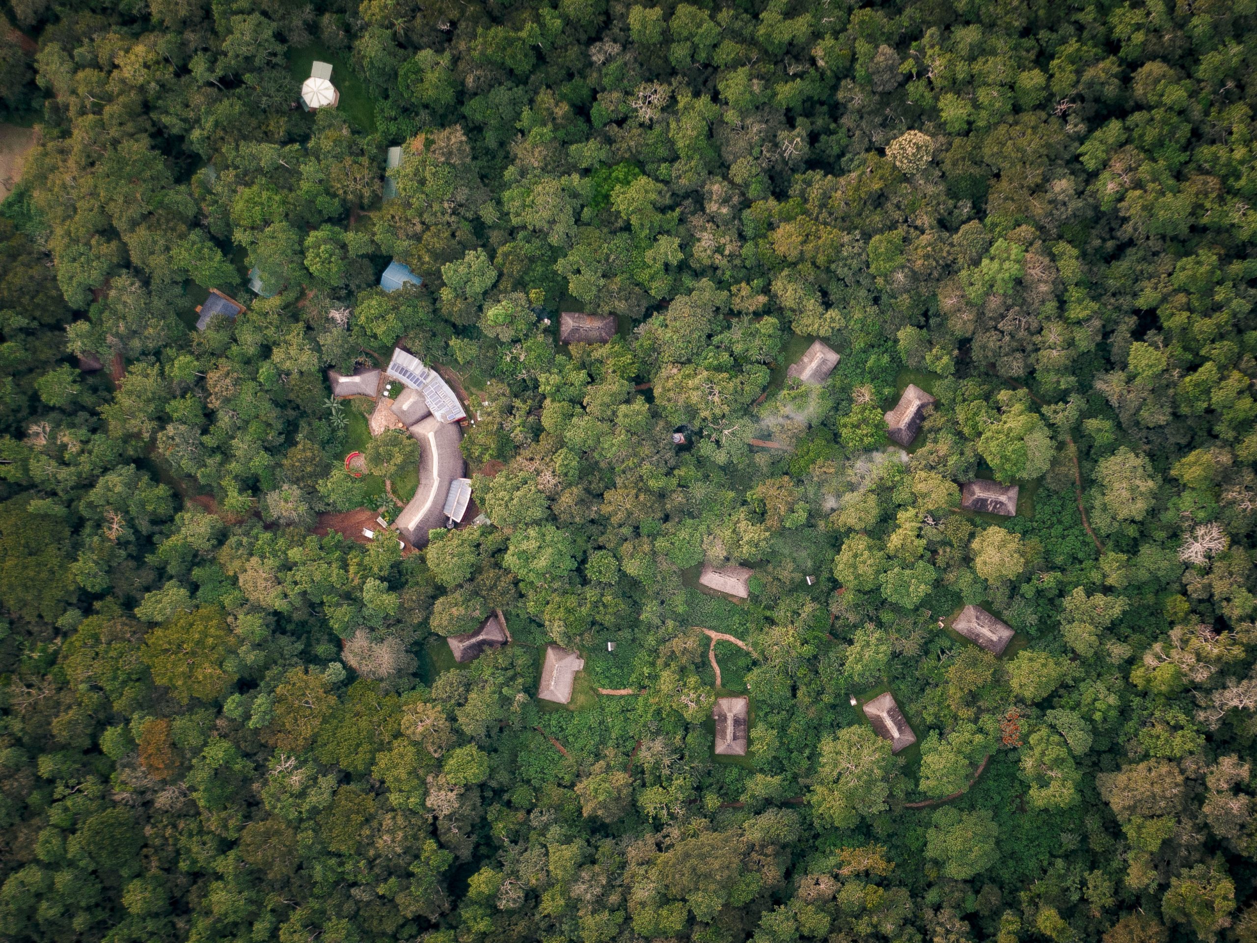 Kibale National Park